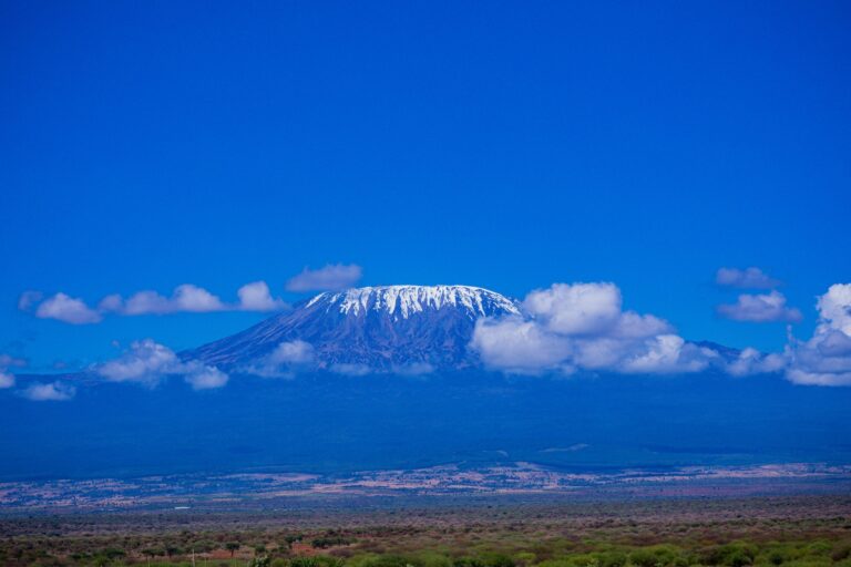 What Is the Highest Mountain In Africa?